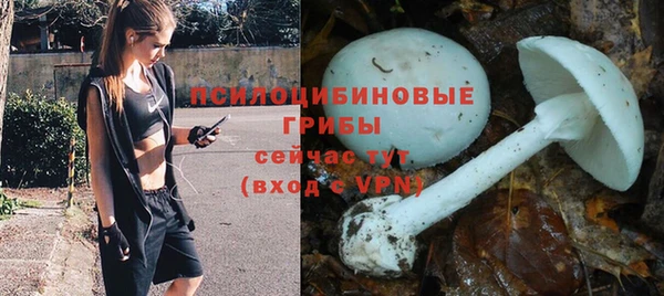 прущие крисы Абинск