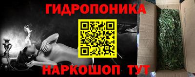 гидра Краснознаменск