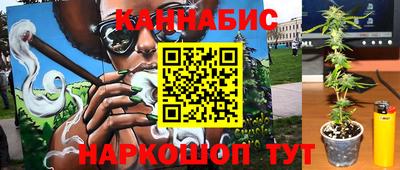 сатива Краснодар