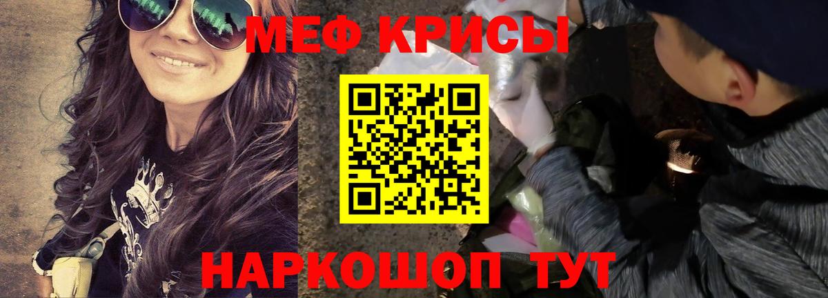 хочу   Вход с VPN  МЕФ  Димитровград  МЕФ мяу мяу  МЯУ-МЯУ 