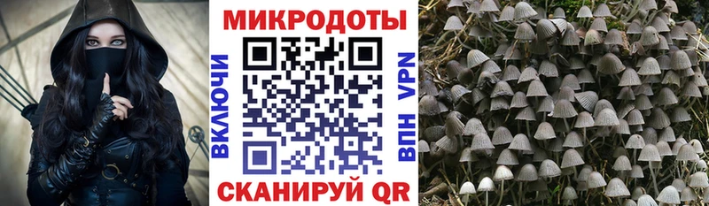 Галлюциногенные грибы MAGIC MUSHROOMS Димитровград