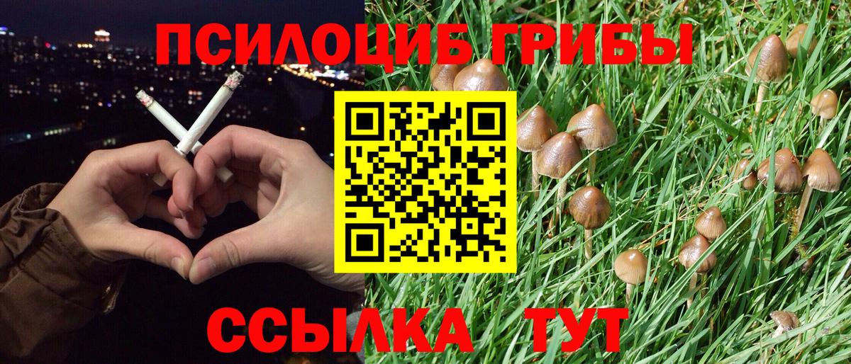 Псилоцибиновые грибы мухоморы Димитровград