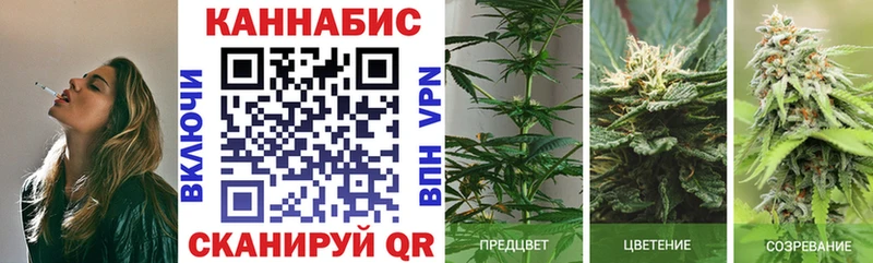 Марихуана Bruce Banner  Димитровград 